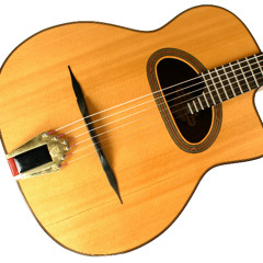 2004 Park Elan 12 Fret