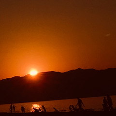 twatwave 2013