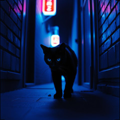 Dark Streets
