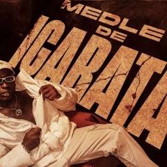 VEM POR CIMA DO MEU GAROTO X MEDLEY IGARATA 3 (VERSÃO BEAT SÉRIE GOLD) - DJ SAMU