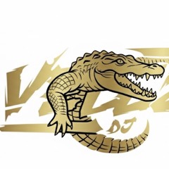 THE FAVELA🐊🇧🇷