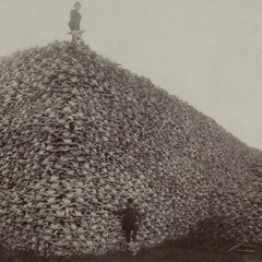 As The Lights Go Out In Gaza