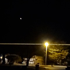 releases (march 2022)