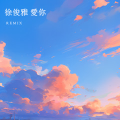 徐俊雅 - 爱你 Remix