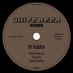[WDR036] Dr Gabbo - Superfly EP (Dec 2022)