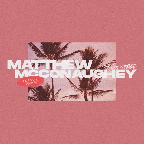 Matthew McConaughey (w/ Shwayze) [La Felix Remix]