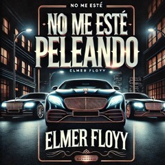 NO ME ESTÉ PELEANDO