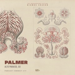 Palmer @ Podcast Connect #217 - Alto Paraiso, GO