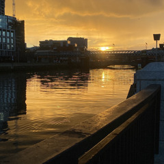 EVERY DOG HAS ITS DAY