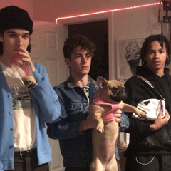 Asap rocky this a smash this a pass (asap rocky vlog snippet )