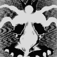 rat king- | <<tsss=o:dr>>