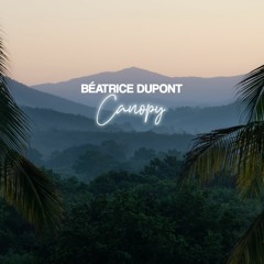 Canopy