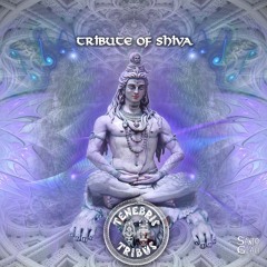 Tribute of Shiva - EP - Gratiam (155Bpm)