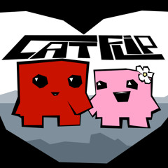 ur flip is my love (cat flip) (for a mix)