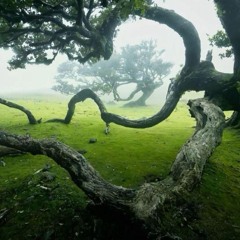 Beautiful Day (Ambient Mix)