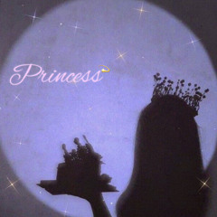 Princess💫 (feat.ちゃんちゃん)