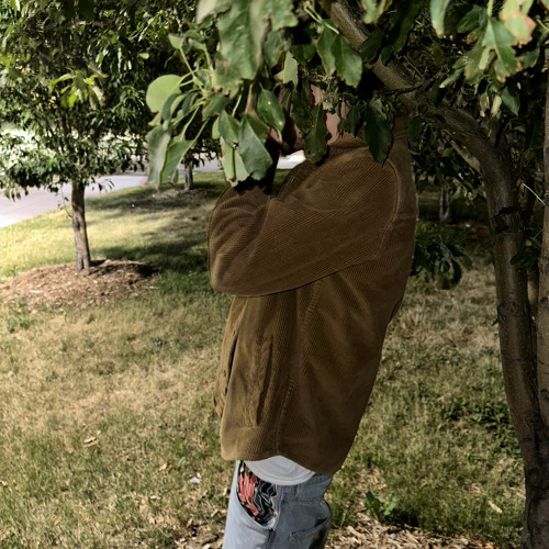 no switchin