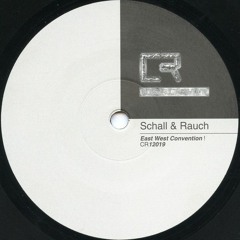 Schall & Rauch - You See That Voice