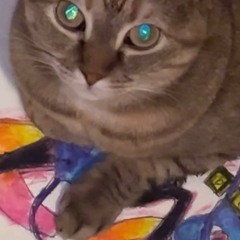 300+ songs mix beats