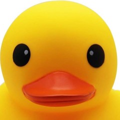 Duck Face (Radio Edit)