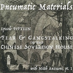 EPISODE FIFTEEN: FEAR AND GANGSTALKING IN THE CHINESE SOVEREIGN HOUSE WITH MITCH ANZUONI, PT 1