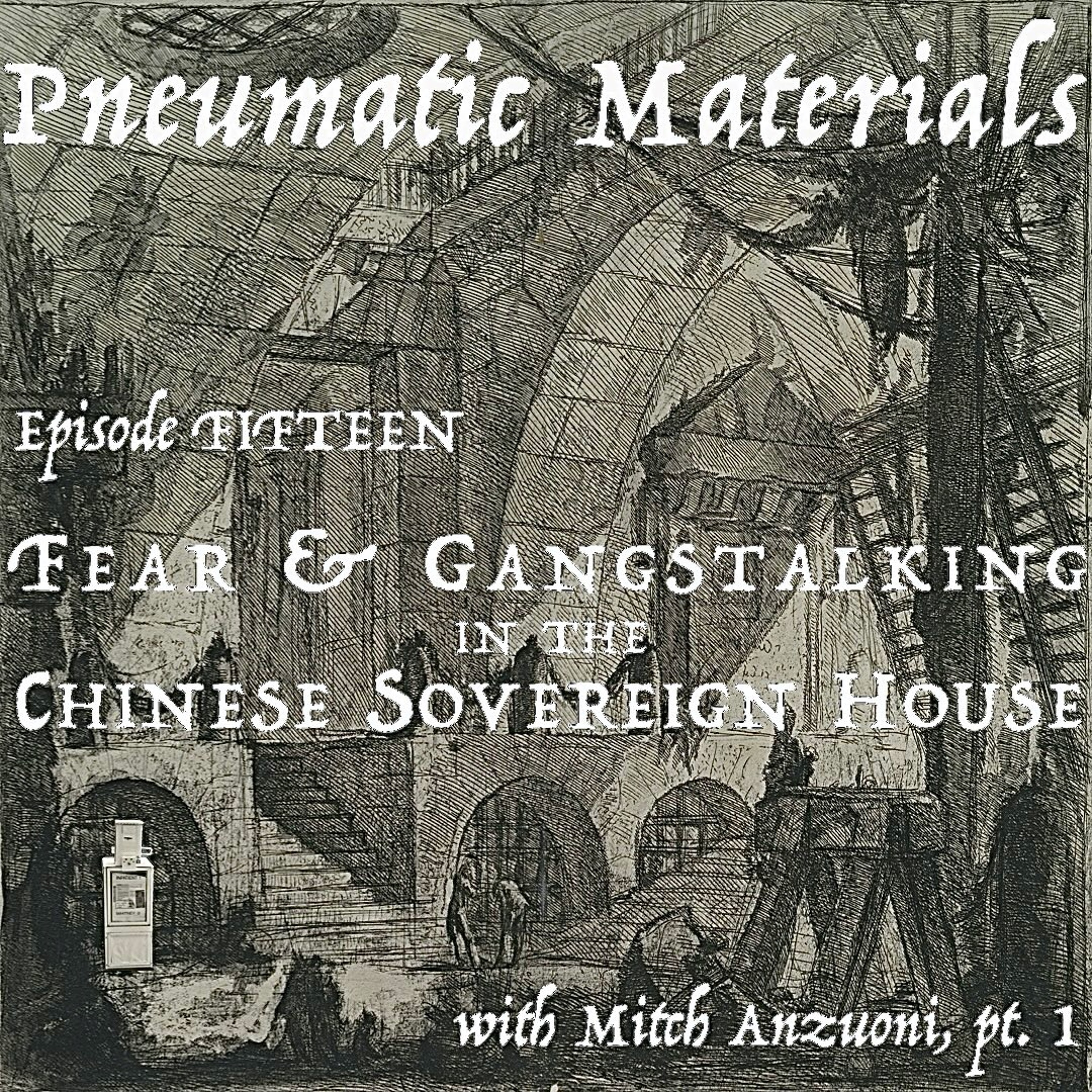 EPISODE FIFTEEN: FEAR AND GANGSTALKING IN THE CHINESE SOVEREIGN HOUSE WITH MITCH ANZUONI, PT 1 episode artwork