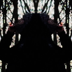 LoneWolf {p.lanny+ziplocker}