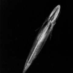 c'est assez ( prod XavierX Beatz )