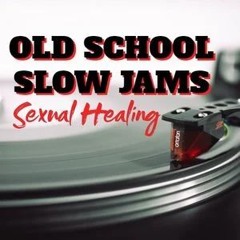 Old School Slow Jams Sexual Healing Mix Vol 1 Dj Mike Z Promo.