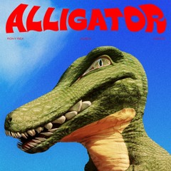 Alligator