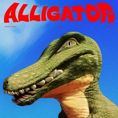 Alligator