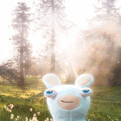 beautiful things x hoodtrap/mylancore