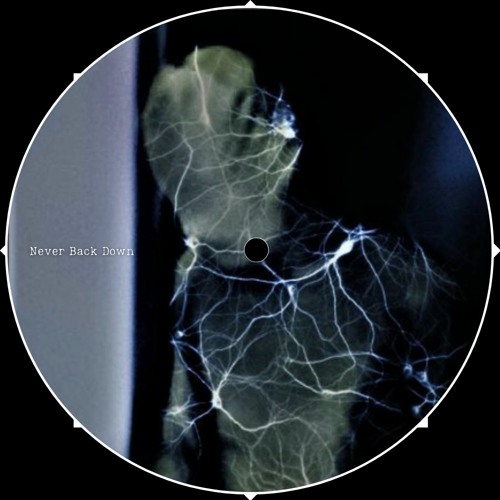 I AM NOBODY - Never Back Down