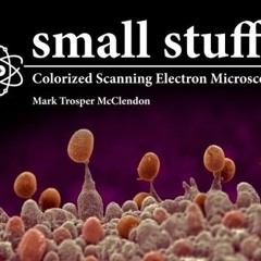 DOWNLOAD KINDLE 📁 small stuff: Colorized Scanning Electron Microscopy by  Dr Mark Tr