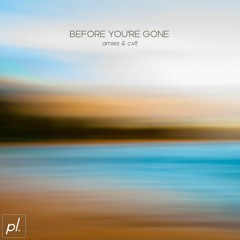 Before You're Gone (w/ cxlt.)
