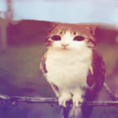 intend x lyteee - SWAGGOT #NOCLIP