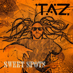 3.T.A.Z. - Set & Forget