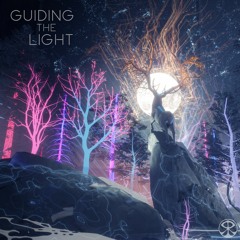 Guiding the Light