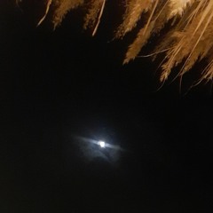 stay.hanszimmer.remix.mp3