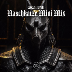 Naschkatze Minimix - June 2023