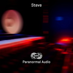 Steve - Nothing To Say • Zebra Rec. [ZBREP009] • 2021 (snippet)