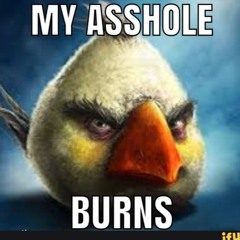 DJ IVAN EVIL - MY ASSHOLE BURNS
