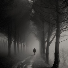 KTZ I walk this..!(random freestyle fun-track mit akai)