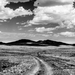 Tracks In The Desert