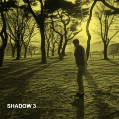 Shadow 3
