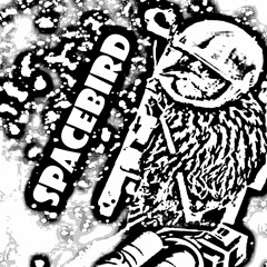 Spacebird {electronic,techno}(Nonprofit)
