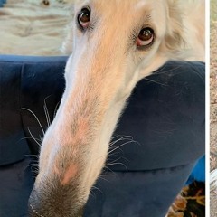 Justin Timberlake/Jamie Duggan - My Love Bassline Remix.