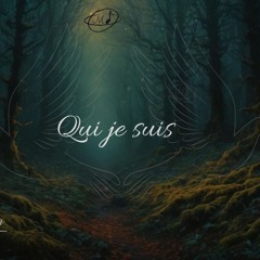 Qui je suis