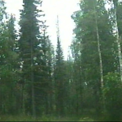 #убежищеангела - telo.mp3 (reupload)