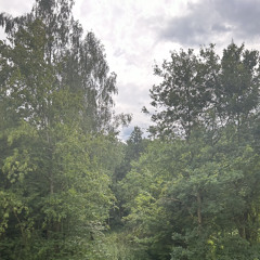 Hardgroove & Trance Mix (155pbm)